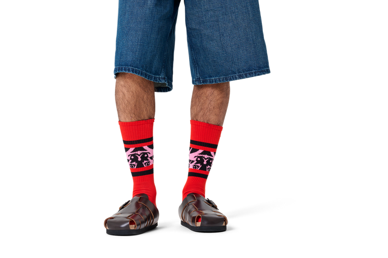 Anime Stripe Sneaker Sock