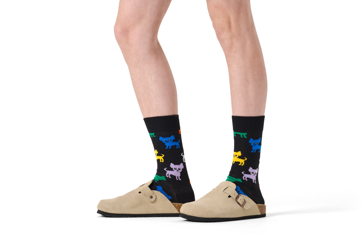 Chihuahua Sock