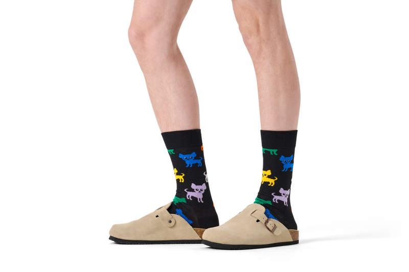 Chihuahua Sock