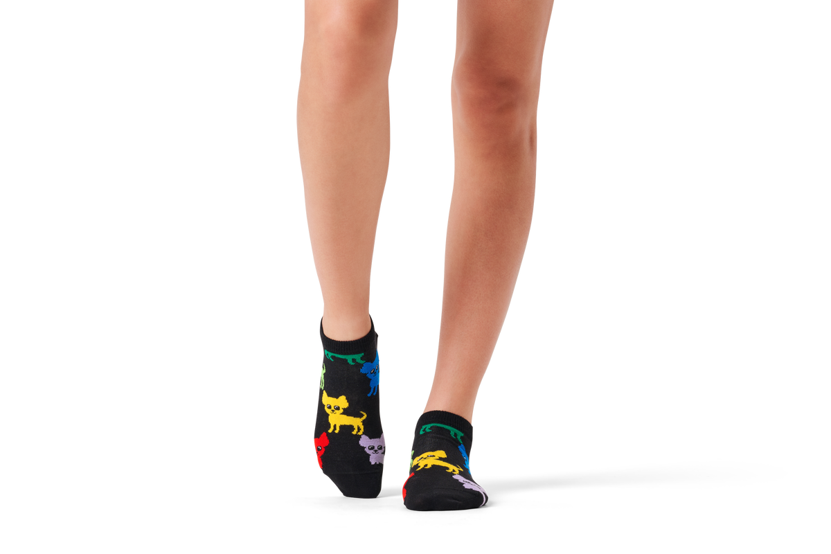 Chihuahua Low Sock