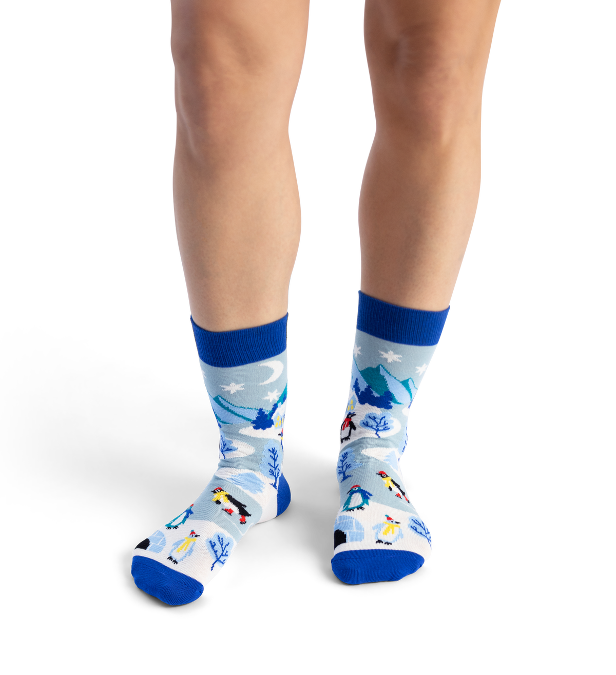 Penguin Village Sock
