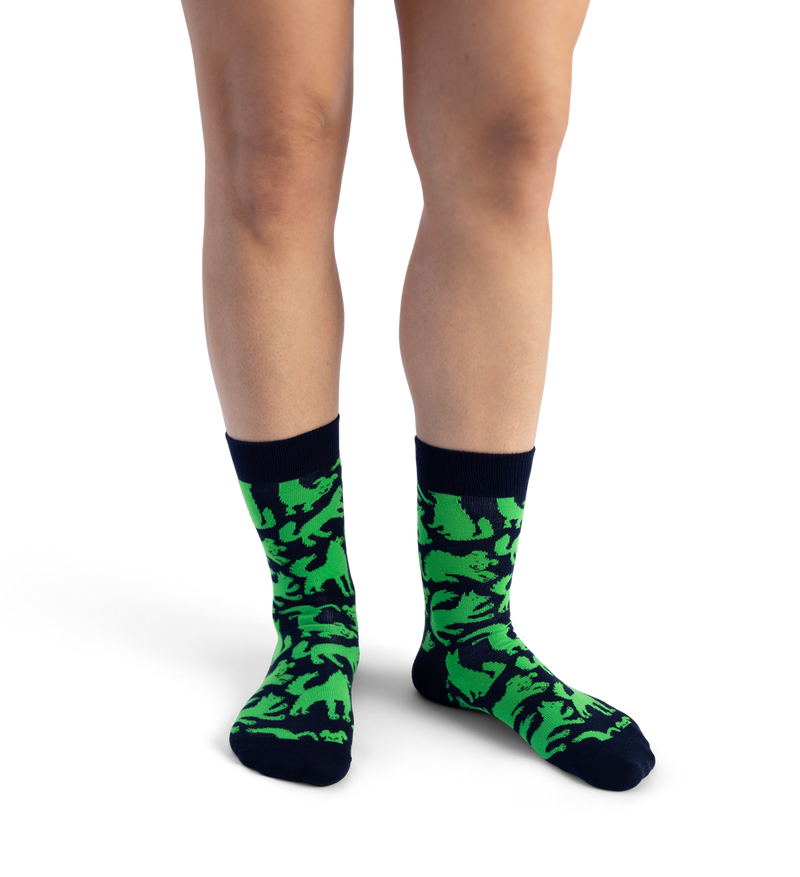 Dog Sock