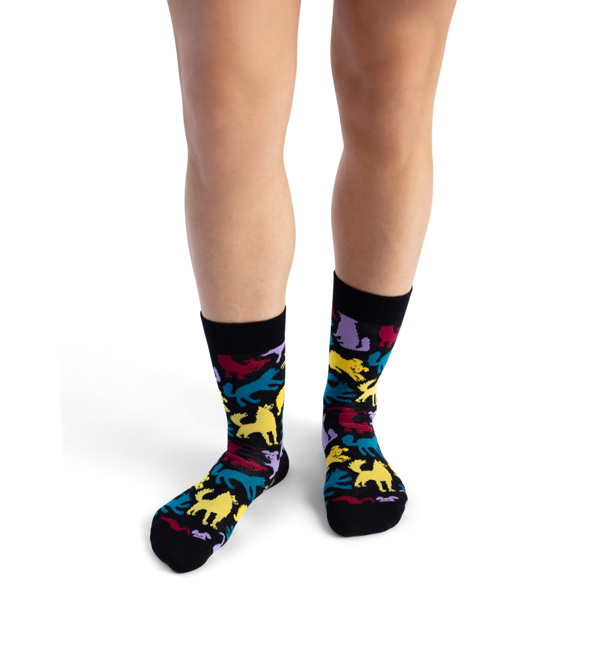 Dog Sock