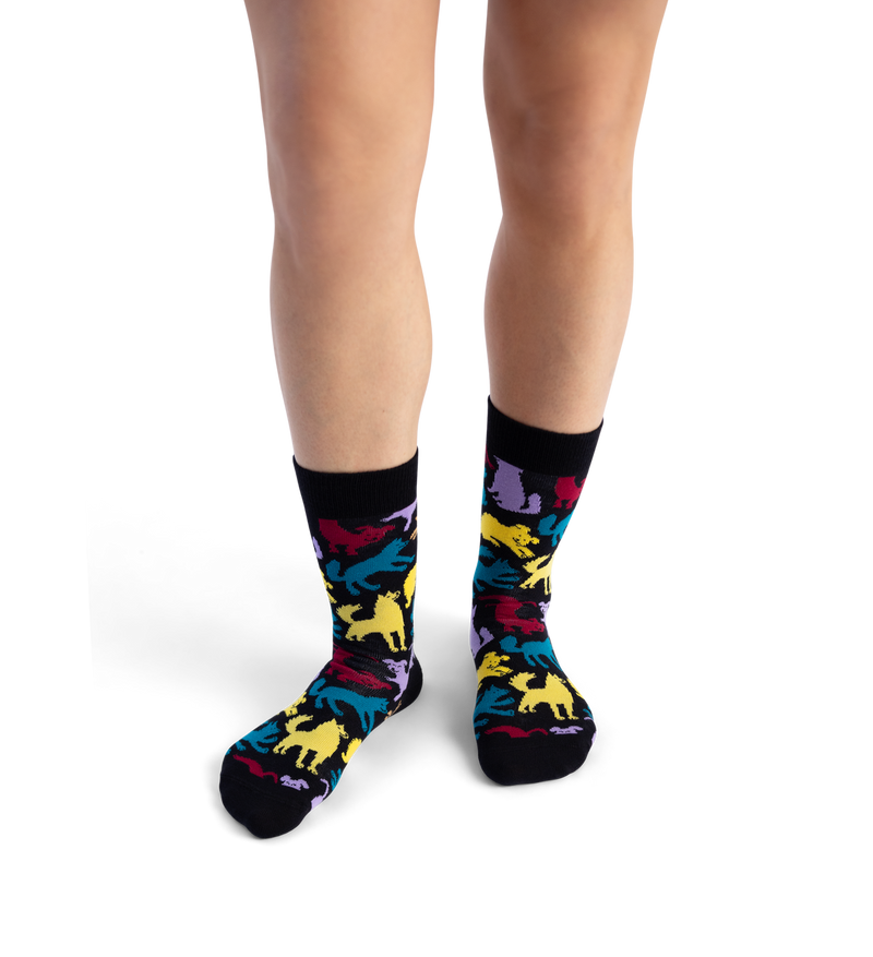 Dog Sock